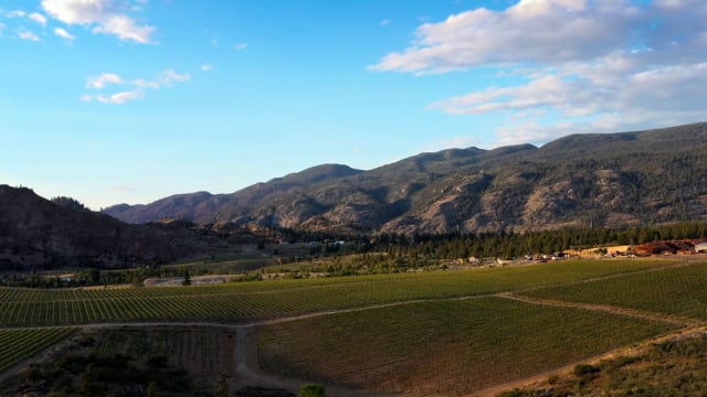 Sun setting on a vista of mountainous hills and rolling fields of grapevines. 