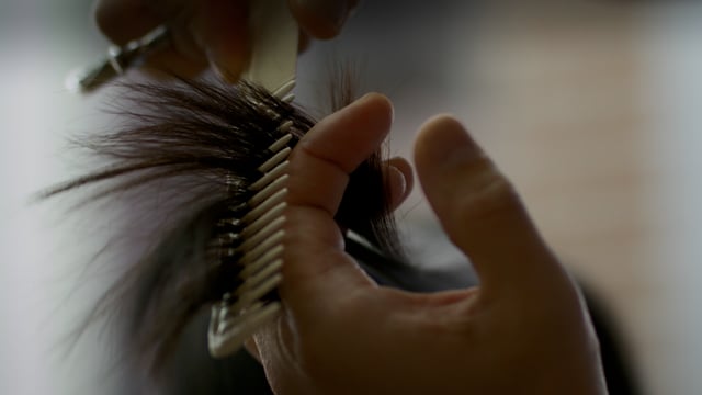 Beauty salon hair cut. A woman gets her hair done at a stylish salon.