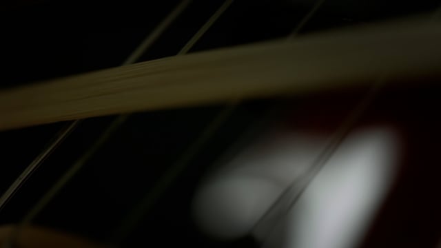 Strings of a professional musician are played with grace and precision during a live performance. 
