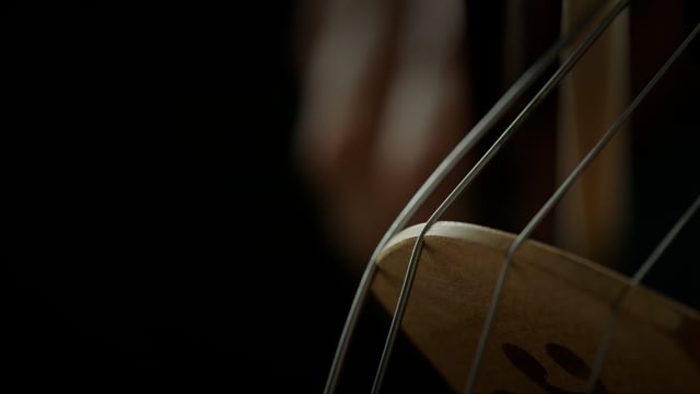Strings of a professional musician are played with grace and precision during a live performance. 