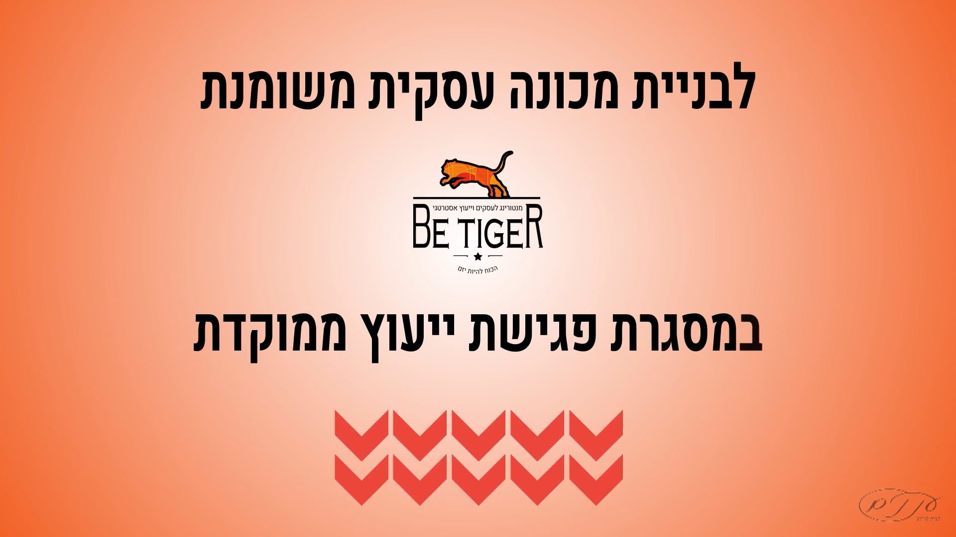 סרטון תוכן - שלום גינזבורג. BeTiger