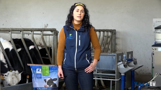 Importancia da auga no plan de alimentación das xatas