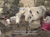 Historia de Maribel Barrientos, autoridad comunal de Huancapuquio.