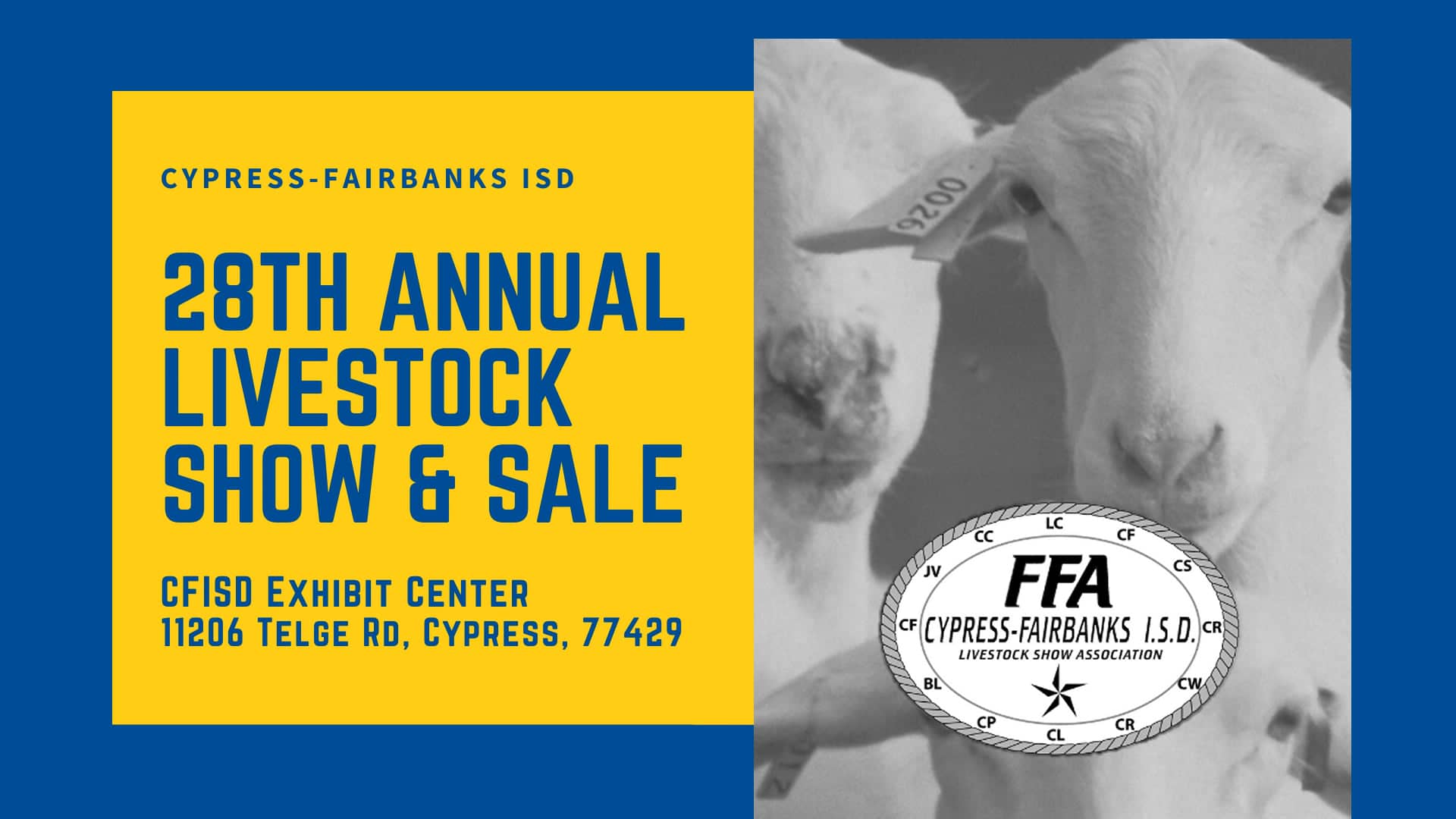 cfisd-livestock-show-swine-judging-feb-4th-2022-on-vimeo