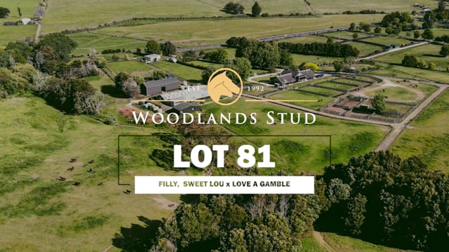 Lot 81