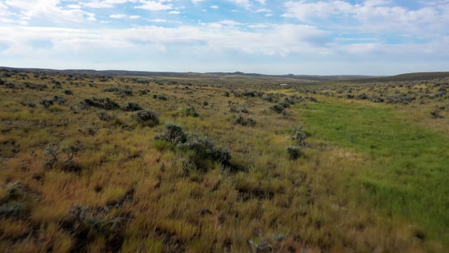 An arid landscape in a beautiful rustic area.