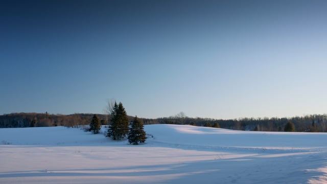 Winter paradise. Open snow-swept field. 
