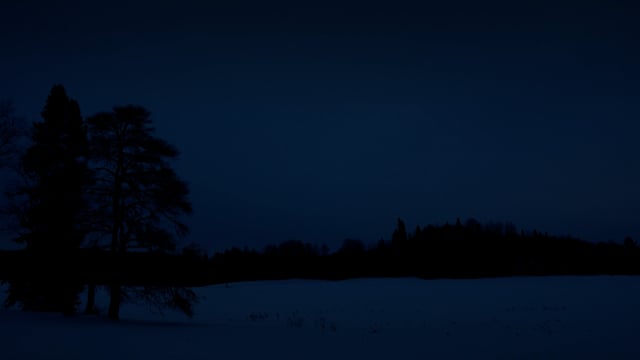 Dusk in the northern wilderness. Beautiful landscape covered in snow. Timelapse.