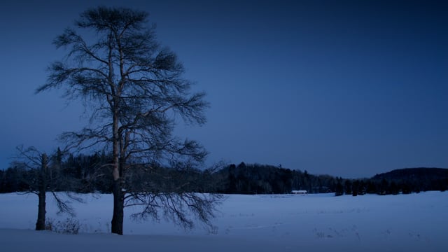 Dusk in the northern wilderness. Beautiful landscape covered in snow. 