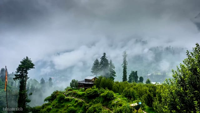 Trees Mountains Fog - Free video on Pixabay