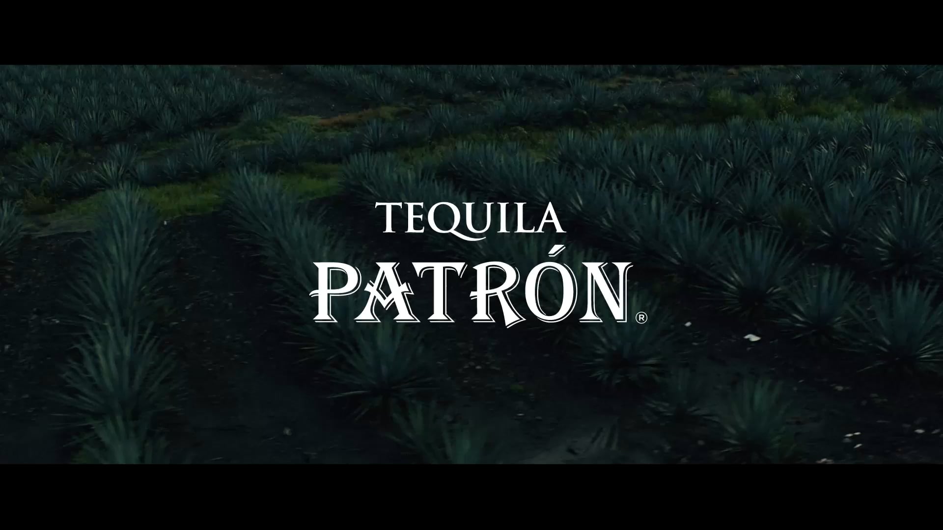 Patrón Tequila: Post Producer