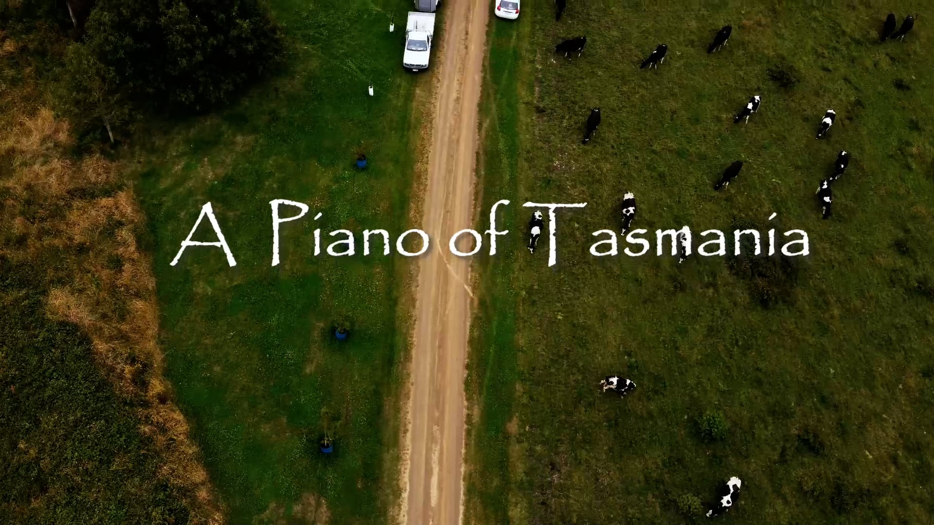 A Piano of Tasmania at Bream Creek Dairy