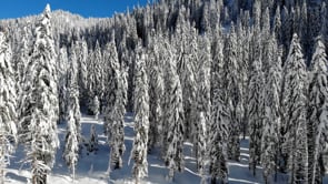 The Appropriate_Bistro Bergsteiger in the UNESCO Natural Heritage region of the Sesto/Sexten Dolomites.