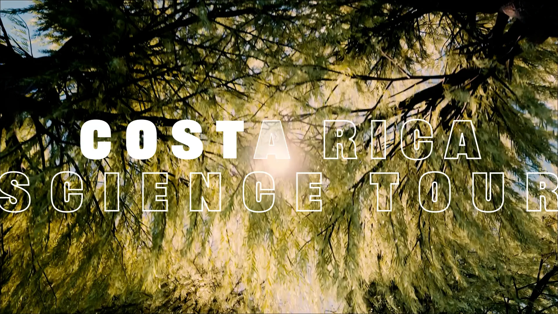 WorldStrides Costa Rica Science Program.mp4 | Videos & Movies on Vimeo