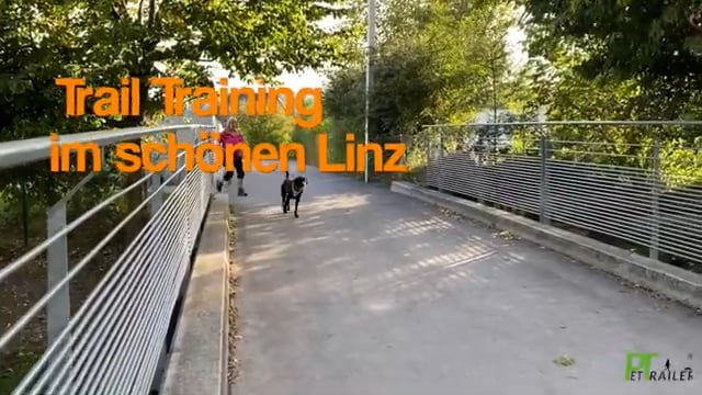 Herbst Trail Linz