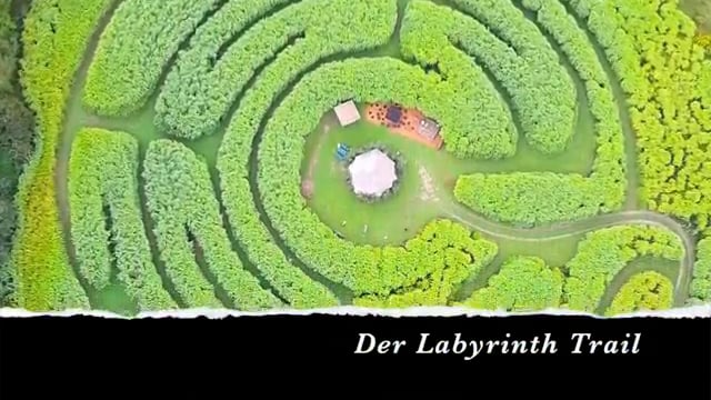 Labyrinth Elefantengras