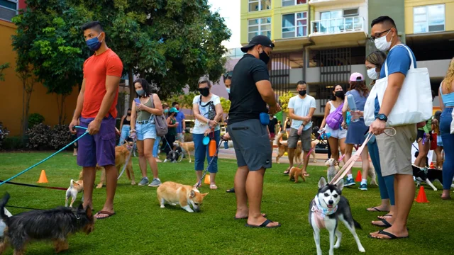 Bark in the Park - January 2023 - Our Kaka'ako