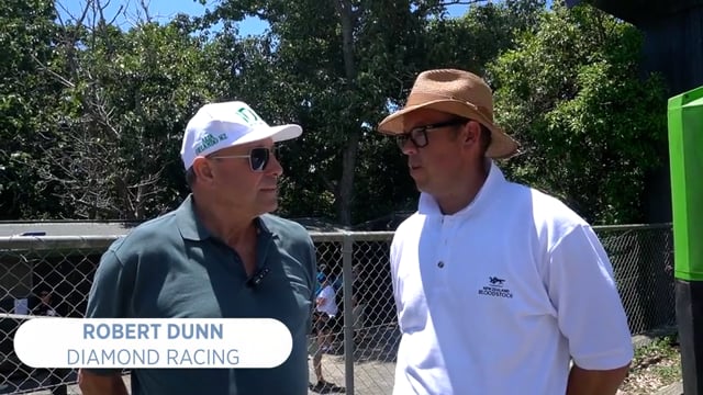 NZB Standardbred Stars – Diamond Racing