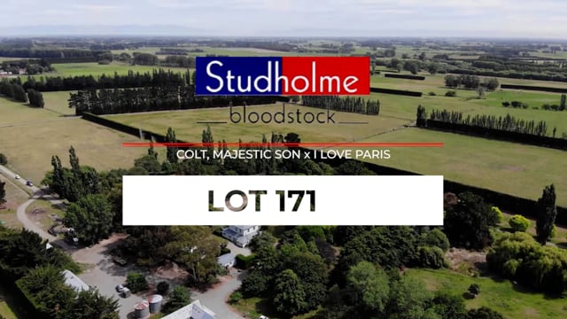Lot 171