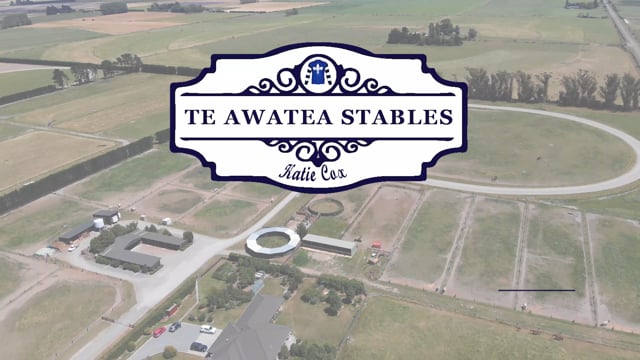 Lot 340