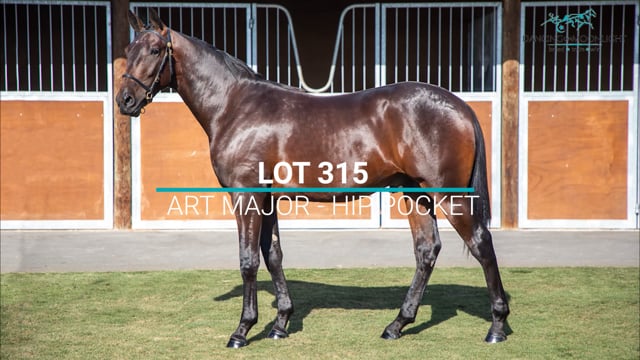 Lot 315