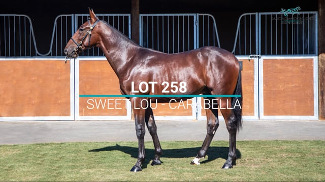 Lot 258