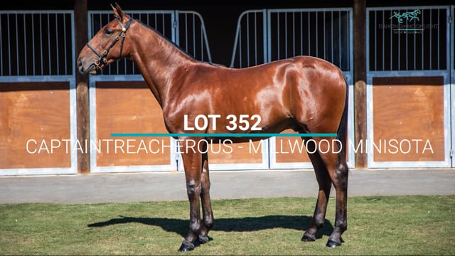 Lot 352