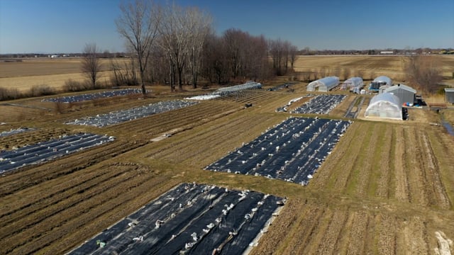 Terre Mère Bio, local et familial