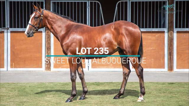 Lot 235