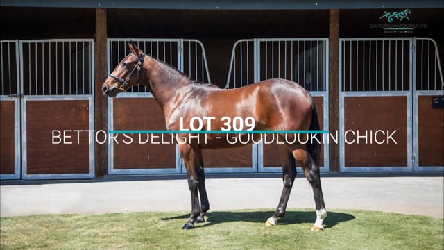 Lot 309