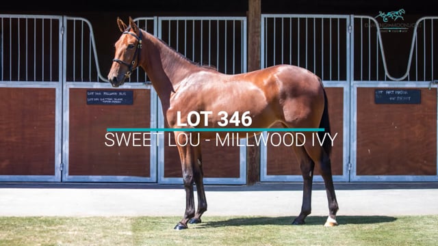 Lot 346