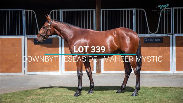 Lot 339
