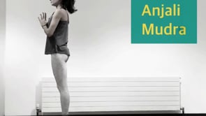 SURYA NAMASKAR A - SUN SALUTATION A