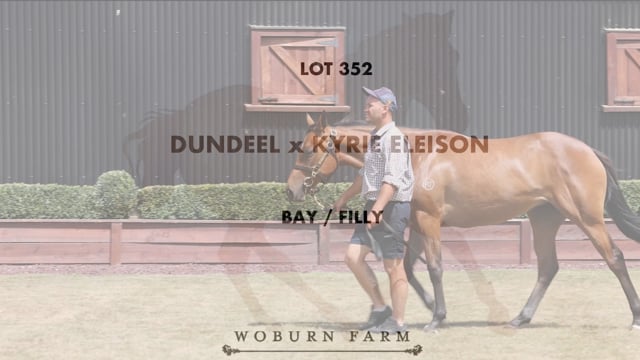 Lot 352