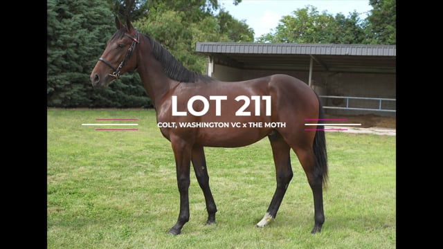 Lot 211