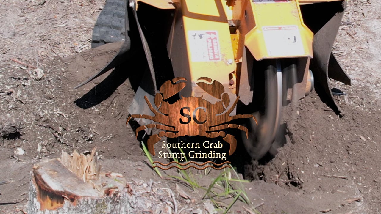 Southern Crab Stump Grinding