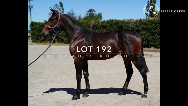 Lot 192