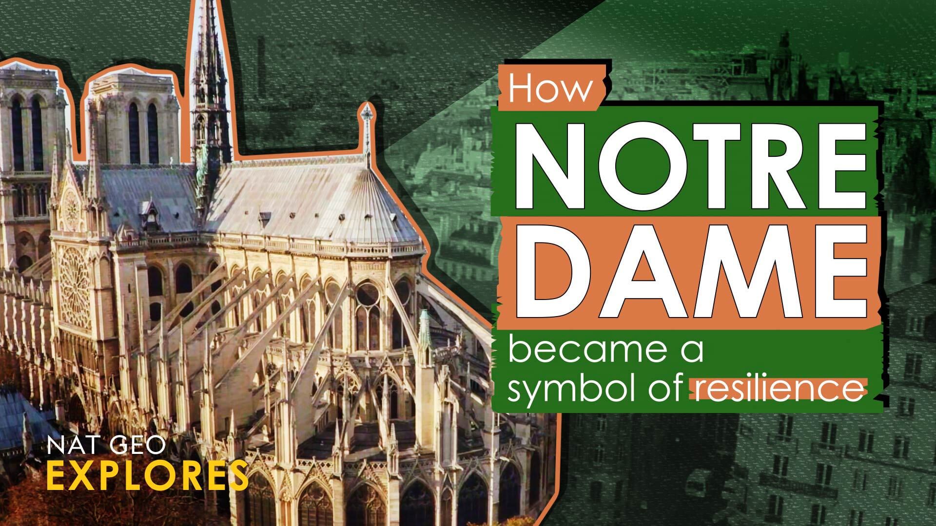 How Notre Dame became a symbol of resilience