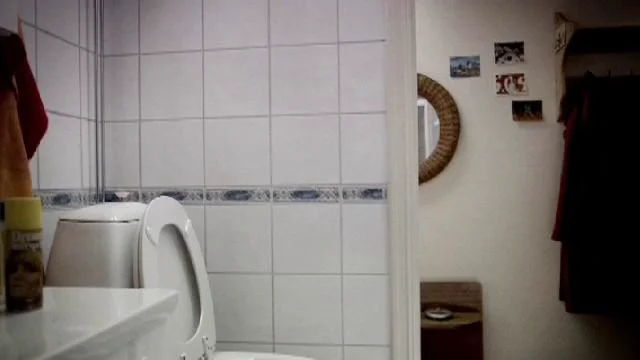 McDonalds - Toalett