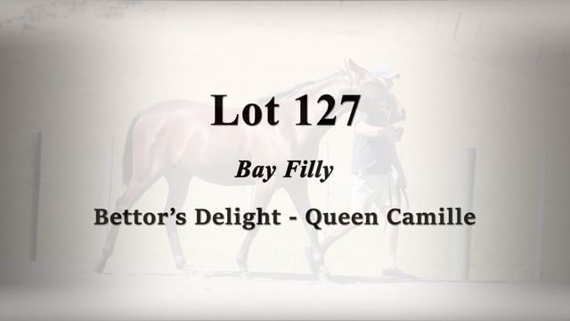 Lot 127