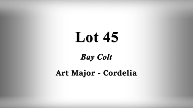 Lot 45