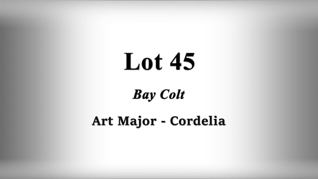 Lot 45