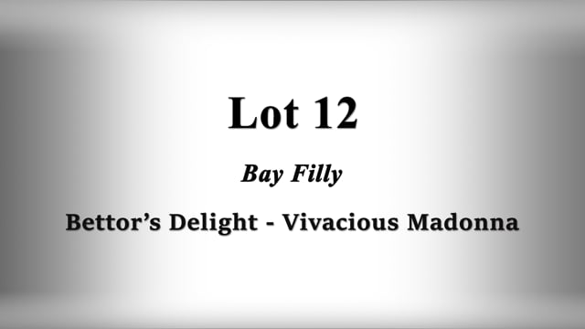 Lot 12