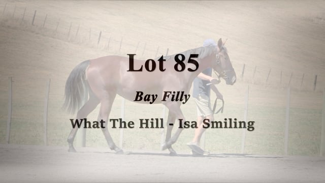 Lot 85
