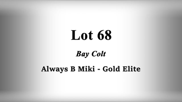 Lot 68