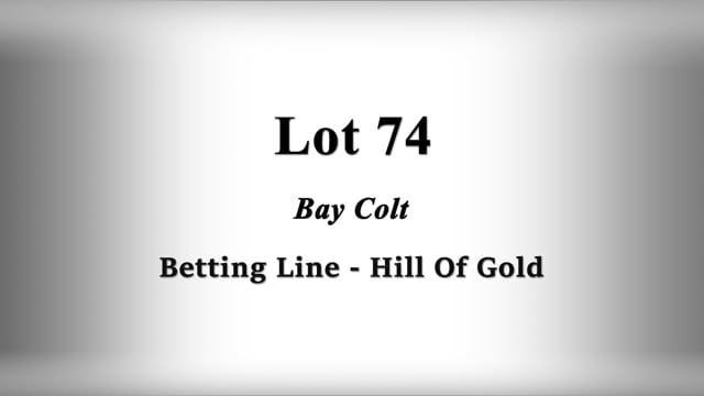 Lot 74