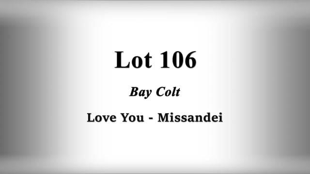 Lot 106