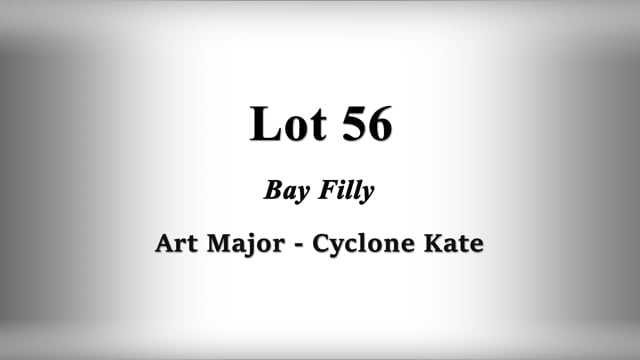 Lot 56