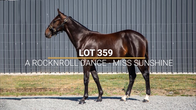 Lot 354