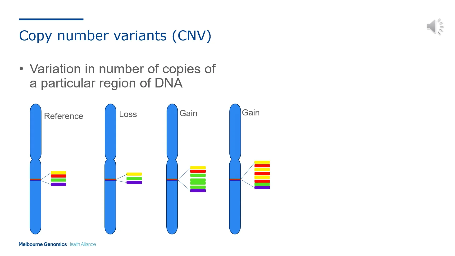 6.4 CNV on Vimeo